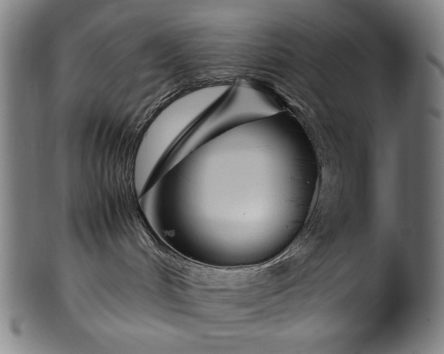 X0000099940048200806061529