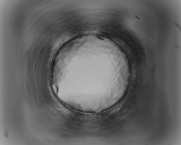 X0000099940049200806061528