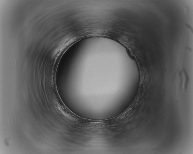 X0000099940050200806061528