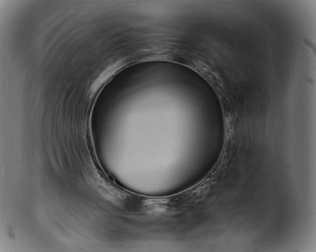 X0000099940051200806061528