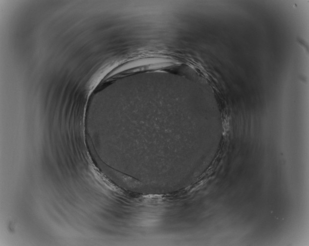 X0000099940052200806061528