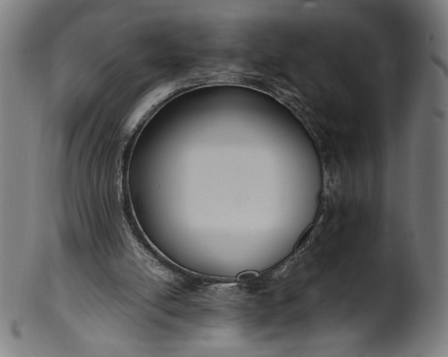 X0000099940054200806061528