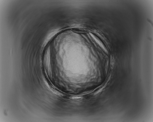 X0000099940055200806061528