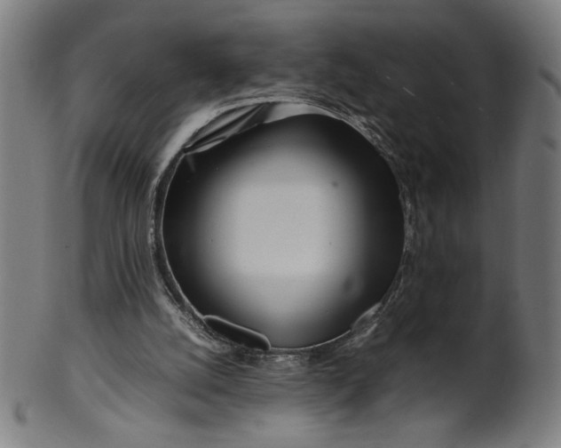 X0000099940056200806061528