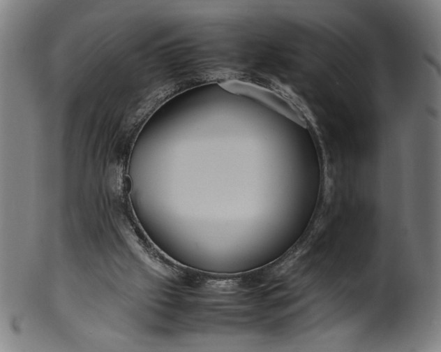 X0000099940057200806061528