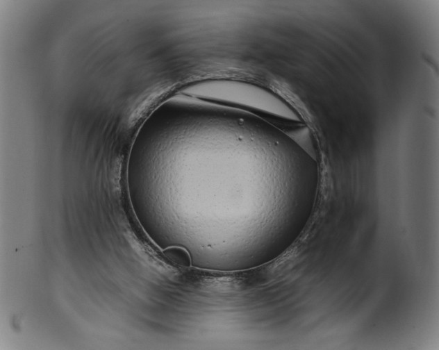 X0000099940058200806061528