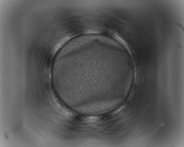 X0000099940059200806061528