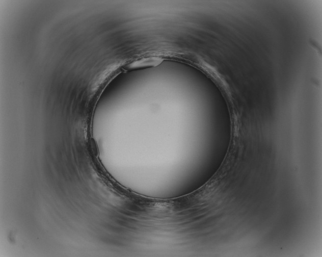 X0000099940060200806061528