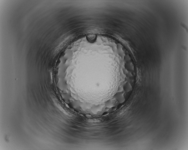 X0000099940061200806061528