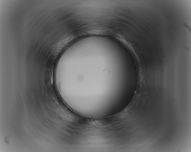 X0000099940062200806061528