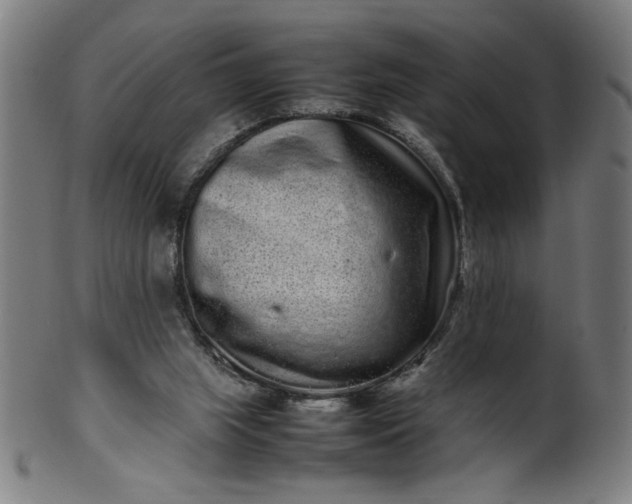 X0000099940063200806061528