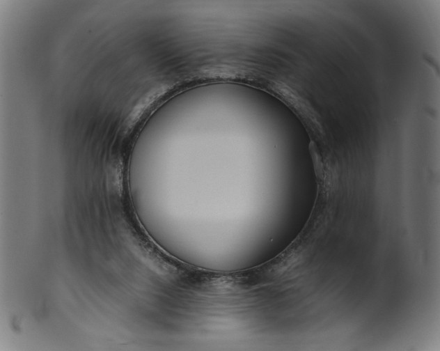 X0000099940064200806061528