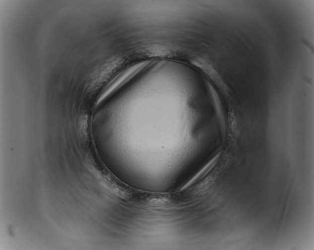 X0000099940066200806061529