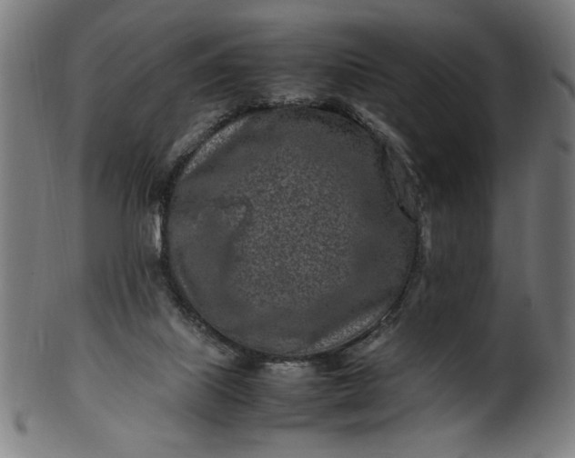 X0000099940067200806061529