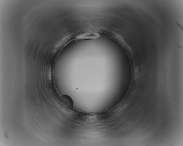 X0000099940068200806061529