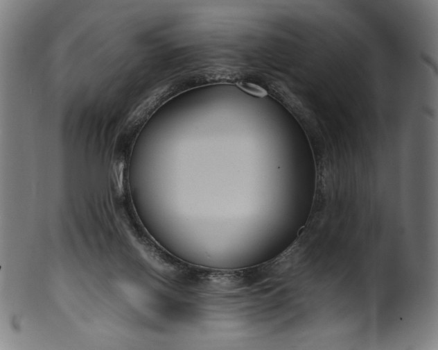 X0000099940070200806061529