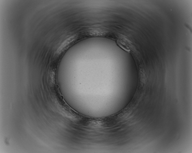 X0000099940071200806061529