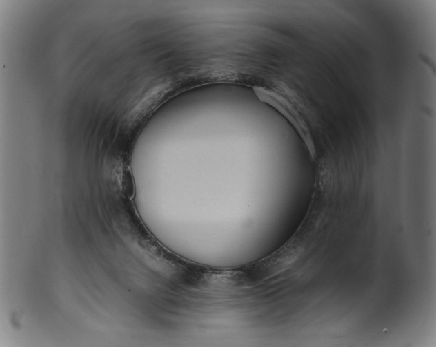 X0000099940072200806061529