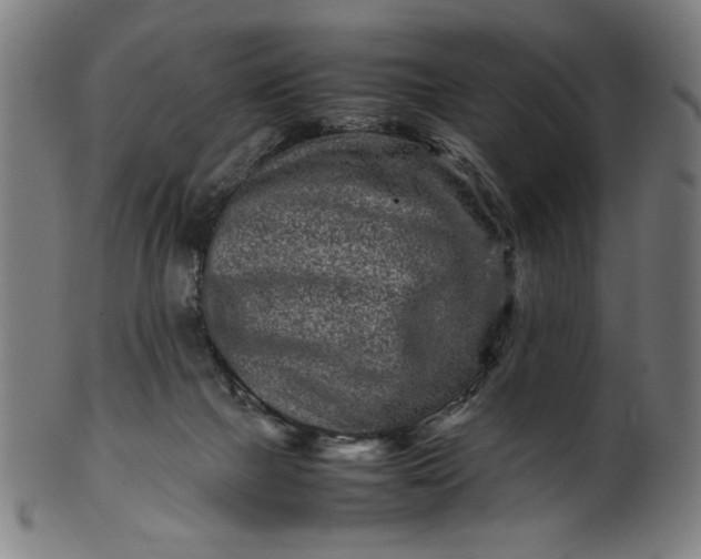 X0000099940073200806061529