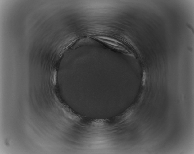 X0000099940076200806061529