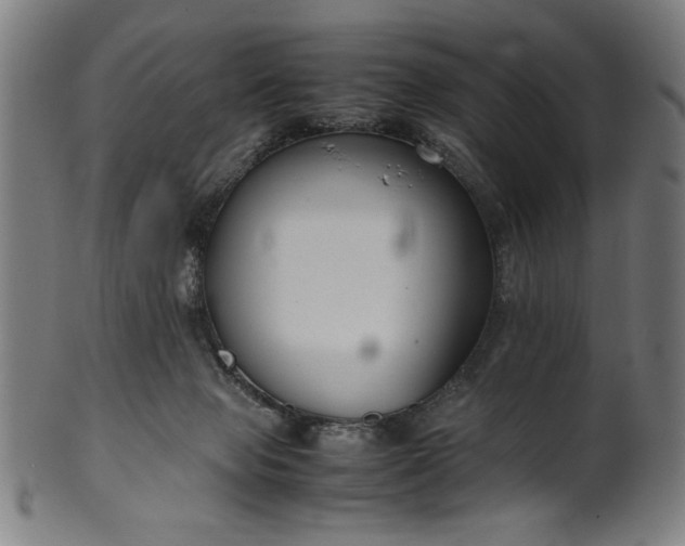 X0000099940077200806061529