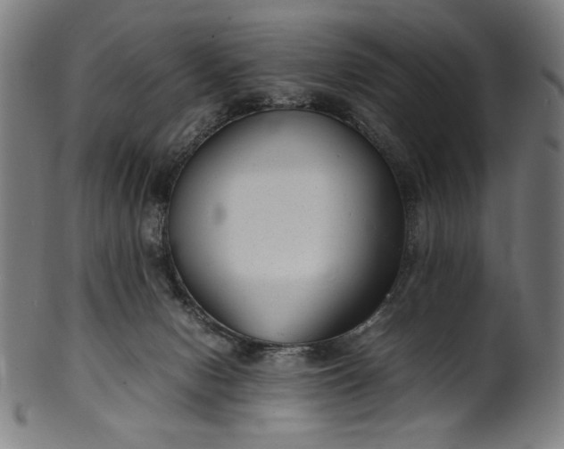 X0000099940078200806061529