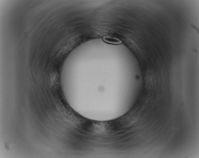 X0000099940079200806061529