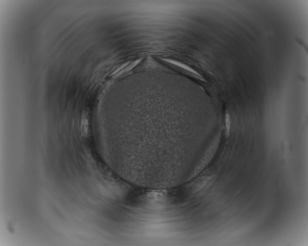 X0000099940080200806061529