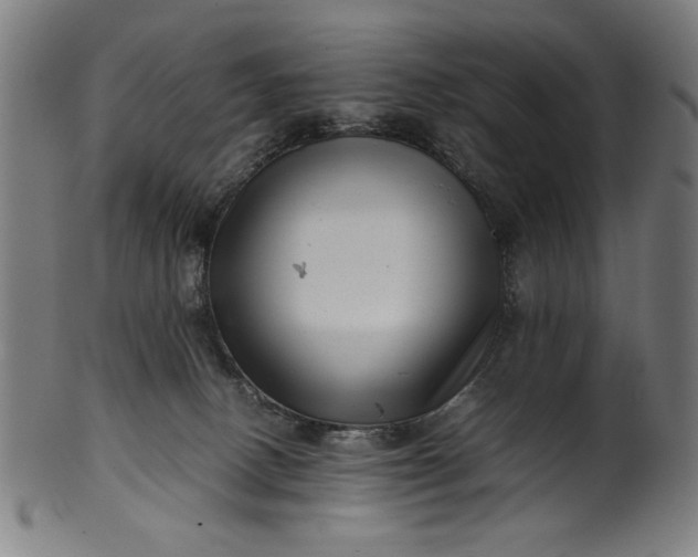 X0000099940082200806061529