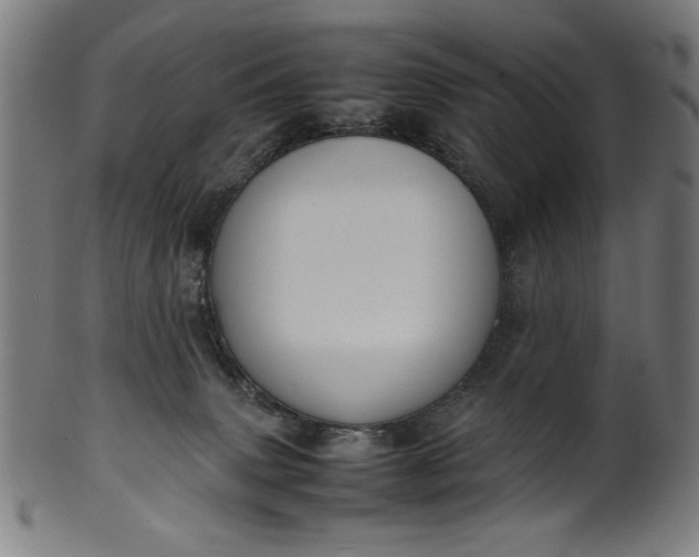 X0000099940083200806061529
