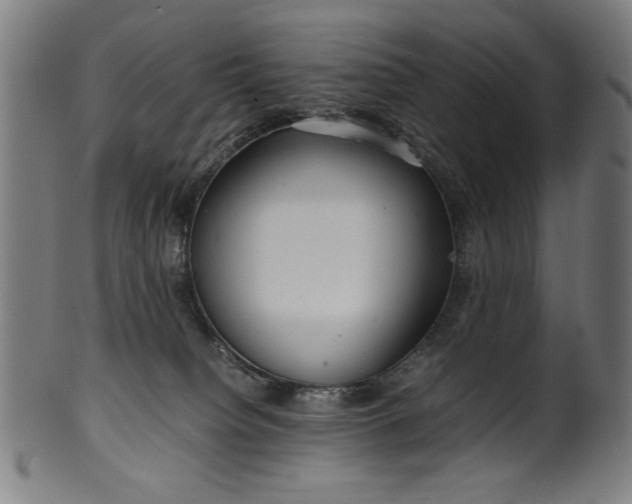 X0000099940084200806061529