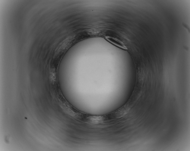 X0000099940085200806061529
