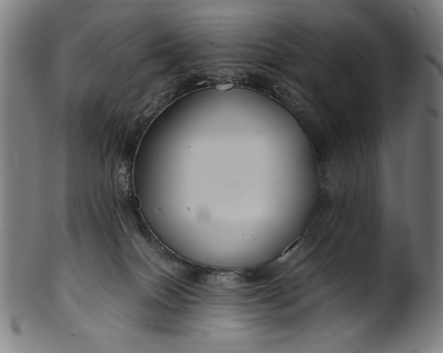X0000099940086200806061529