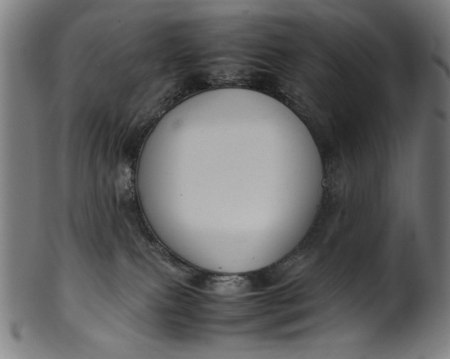 X0000099940087200806061529