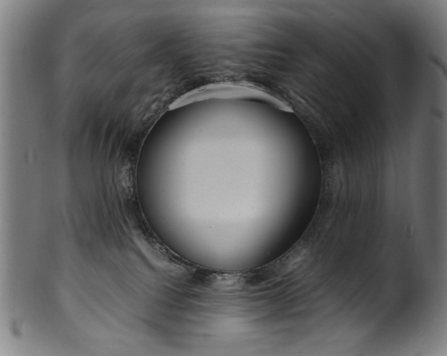 X0000099940088200806061529