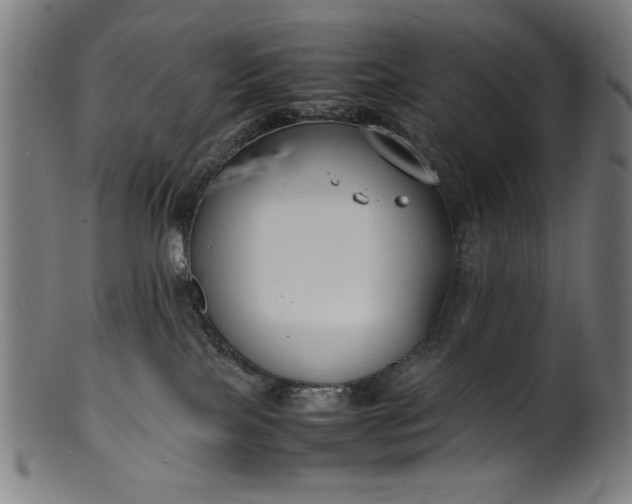 X0000099940089200806061529