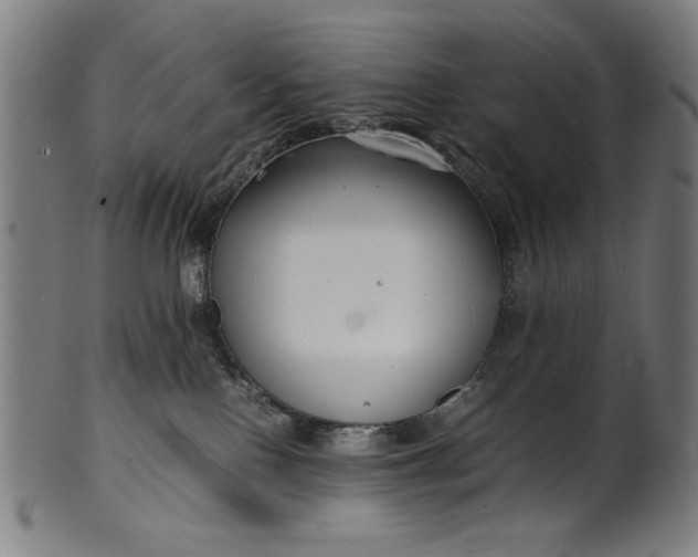 X0000099940090200806061529