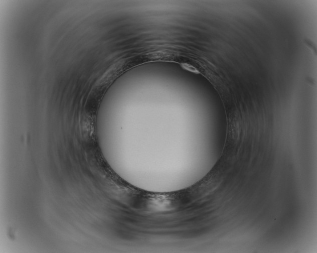 X0000099940091200806061529