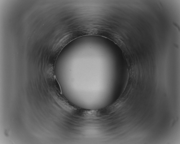 X0000099940092200806061529