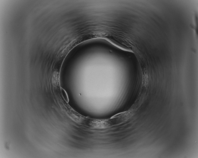 X0000099940093200806061529