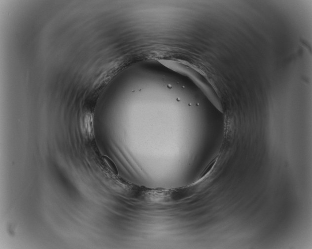 X0000099940094200806061529