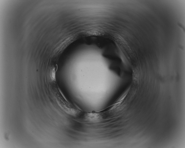 X0000099940095200806061529