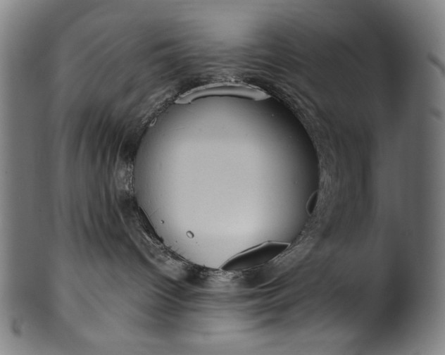 X0000099940096200806061529
