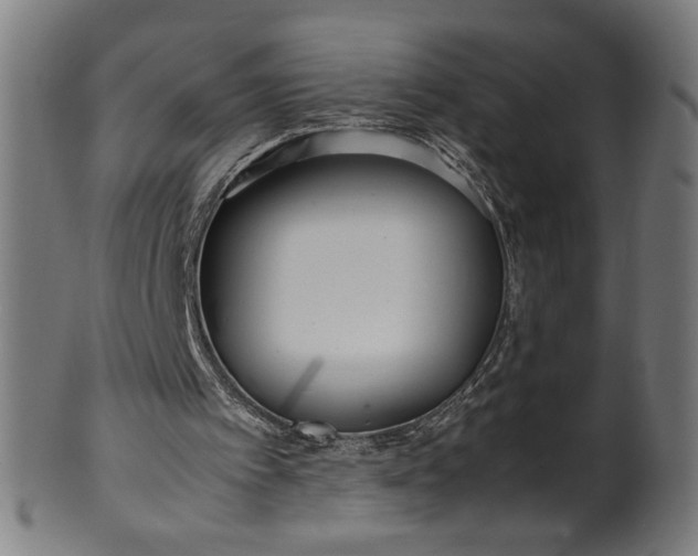 X0000099940097200806061528