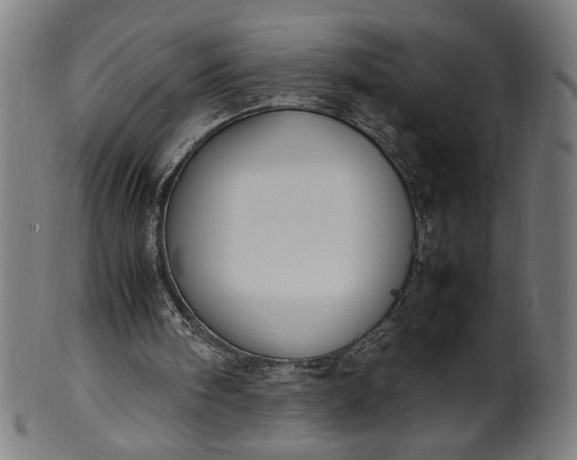 X0000099940098200806061528