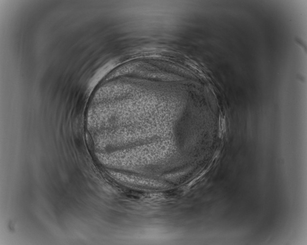 X0000099940099200806061528