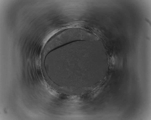 X0000099940100200806061528