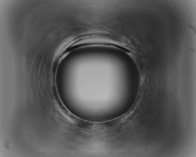 X0000099940101200806061528