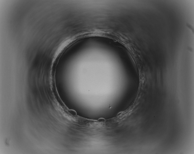 X0000099940102200806061528