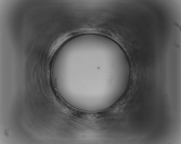 X0000099940103200806061528